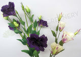 F0087 Lisianthus Spray 80cm 5 Colours