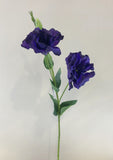 Dark Purple Lisianthus F0087