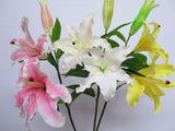 F0101 Casablanca Lily Real Touch 97cm Pink / White / Yellow