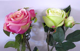 F0117 Large Rose (Dark Pink, Pale Pink with Green)