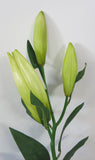 F0121 Lilium buds 78cm zoom