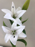 F0138L Oriental Lily Spray (Real Touch) 74cm White / Pink