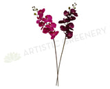 FA1028 - White Orchid Floral Arrangement