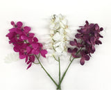 FA1047 - Thistle Orchid & Hydrangea Arrangement (32cm Height)