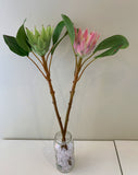 F0160SML-N King Protea Single Stem 53cm Light Green / Pink