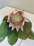 Light Pink with Purple Tip - F0160SML King Protea Small