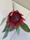 Red - F0160SML King Protea