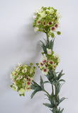 F0180 Wax Flower Cluster 77cm White & Light Green