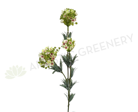 F0180 Wax Flower Cluster 77cm White & Light Green