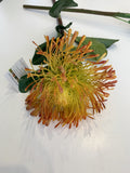 ORANGE - F0181 Pincushion Protea Large 70cm