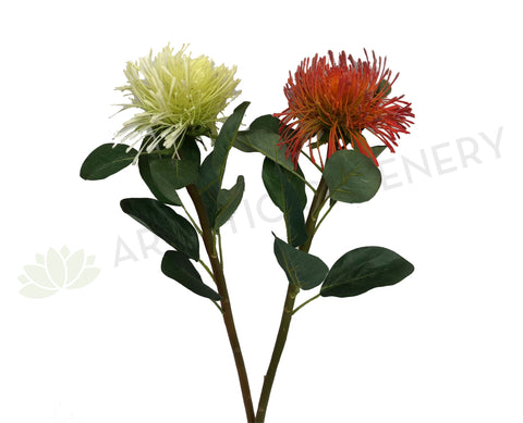 F0181 Pincushion Protea Large 70cm (17cm diameter) Red / White / Orange