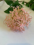 Pink - F0185 Pincushion Protea 72cm / Leucospermum  Orange / Pink / Red | ARTISTIC GREENERY