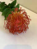 Red - F0185 Pincushion Protea 72cm / Leucospermum  Orange / Pink / Red | ARTISTIC GREENERY