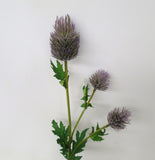 F0187 Eryngium Thistles / Sea Holly 67cm Purple