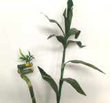 F0190A Lucky Bamboo Leaves 90cm & F0190B Spiral Lucky Bamboo 74cm