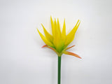 F0197 Musa / Exotic Flower 69cm Yellow (Tropical)