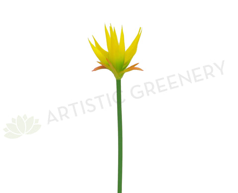 F0197 Musa / Exotic Flower 69cm Yellow (Tropical)