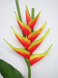 F0200 Giant Heliconia / Crab Claw Flower 96cm Flame (Tropical)