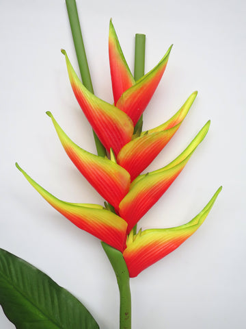 F0200 Giant Heliconia / Crab Claw Flower Artificial 96cm Flame Australia –  Artistic Greenery