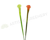 F0201 Sarracenia / Pitcher Plant Flower 82cm 2 Styles