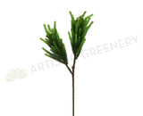 F0203 Safari Pine Pick with Seeds / Brunia 80cm Green