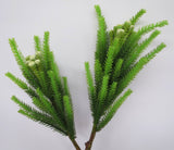 F0203 Safari Pine Pick with Seeds / Brunia 80cm Green
