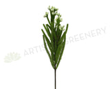 F0204 & F0205 Safari Pine Pick with Seeds /  Brunia 53-60cm 3 Styles