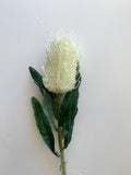 F0218 Banksia Stem 60cm Orange / White / Light Green / Cream