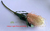 F0218-S85 Artificial Banksia Stem 60cm Light Pink & White / Light Green & White / Yellow | ARTISTIC GREENERY