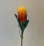 F0218 Banksia stem 60cm $15 (WAS $20)Vibrant Orange | ARTISTIC GREENERY