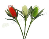 F0218 Banksia Stem 60cm Orange / White / Light Green / Cream