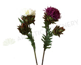 F0219L Chrysanthemum (Double) 52cm Maroon / White