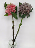 F0220 Waratah Flower 42cm Red / Purple