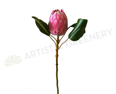 F0226 Protea Half Open 2 Sizes Pink Colour