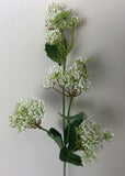 F0229 Queen Anne's Lace (Wild Carrot) 67cm