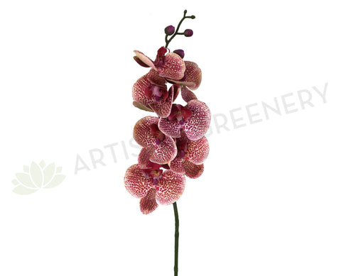 F0234 Phalaenopsis Alysha's Dots Orchid 84cm Real Touch