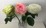 F0244  Single Rose Stem 33cm  Light Green / Pink / White