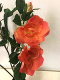 F0247Orange Open Garden Rose
