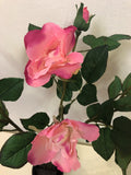 F0247Pink Open Garden Rose