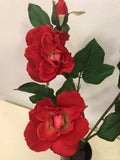 F0247Red Open Garden Rose