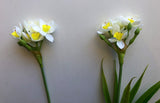 F0255 Single Daffodils 36cm