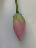 F0258 Lotus Pod 84cm Green / F0259 Water Lily Bud (Pink) 93cm