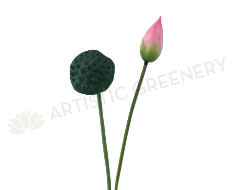 F0258 Lotus Pod 84cm Green / F0259 Water Lily Bud (Pink) 93cm