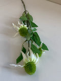 WHITE - F0275 Cone Flower Spray 60cm