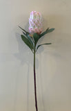 F0279 Protea Neriifolia 74cm Light Pink