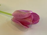 PURPLE - F0282 Single Stem Tulip Stem 67cm 