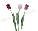 F0282 Single Stem Tulip Stem 67cm 3 Colours