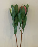 F0287 Small Protea Bud 46cm Pink / Green