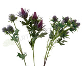 F0292 F0294 F0295 Eryngium Thistles / Sea Holly 61-68cm Purple