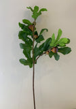 F0296 Fig Foliage 90cm